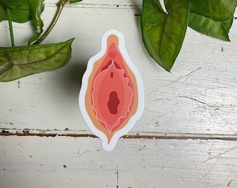 Feminist sticker (waterproof)| Vulva | Body positivity | Good quality sticker | Vinyl decal | Laptop, water bottle, bullet journal