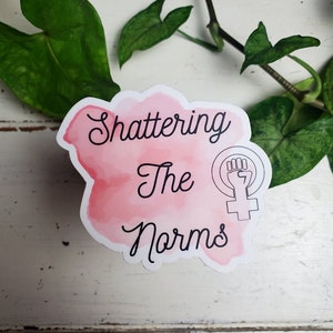 Feministische sticker (watervast)|Girl Power | Activist | Empowerment | Sticker van goede kwaliteit | Vinylsticker | Laptop, bidon, bullet journal