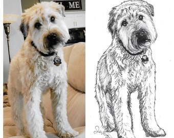 Customized Pen and Ink Pet Drawing