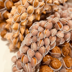 May include: A close-up of a variety of nuts, including almonds, hazelnuts, and walnuts, arranged in a decorative pattern. The nuts are wrapped in white netting, creating a unique and festive look.