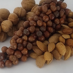 Sofreh Aghd 12 Inch Almond, Walnut, Hazelnut Cluster for Persian Wedding