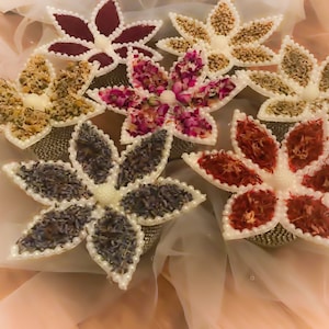 May include: Six white star-shaped decorative dishes filled with different dried herbs and spices. The dishes are arranged in a circle on a white background.