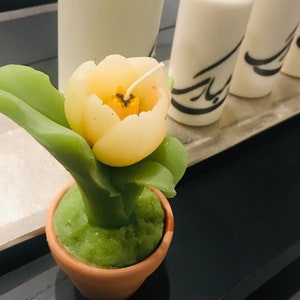 May include: A yellow tulip candle with green leaves in a terracotta pot. The candle is surrounded by three white candles with black calligraphy.