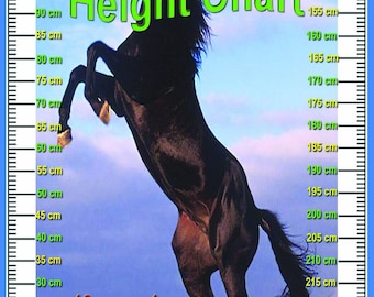 Laminated HEIGHT CHART School Type Poster Wall Chart - A2 Size