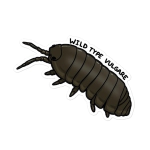 Tub Label - Wild Type Vulgare