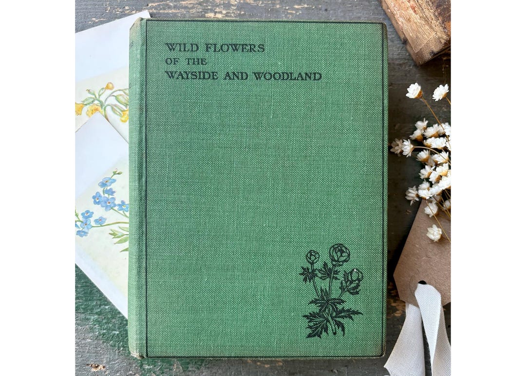 Vintage Wild Flowers of the Wayside and Woodland Green Cloth-covered ...
