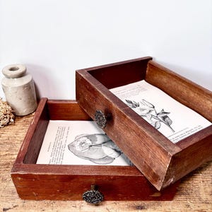 May include: Two rectangular wooden drawers with dark brown finish and ornate metal knobs. Each drawer base is lined with a vintage-style paper print featuring black and white botanical illustrations and printed text, creating a decorative display.