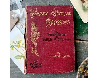 Antique Victorian hardback book -  Wayside and Woodland Blossoms - Pocket Guide to British Wild Flowers, 1895 - 1st Edition! (red covers)