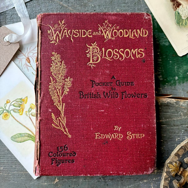 Antique Victorian hardback book -  Wayside and Woodland Blossoms - Pocket Guide to British Wild Flowers, 1895 - 1st Edition!