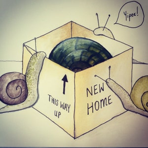 Una nuova casa