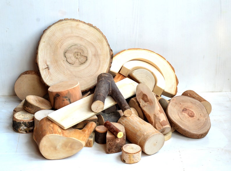 50 HUGE Natural Tree Blocks of Different Types of Wood Wooden | Etsy