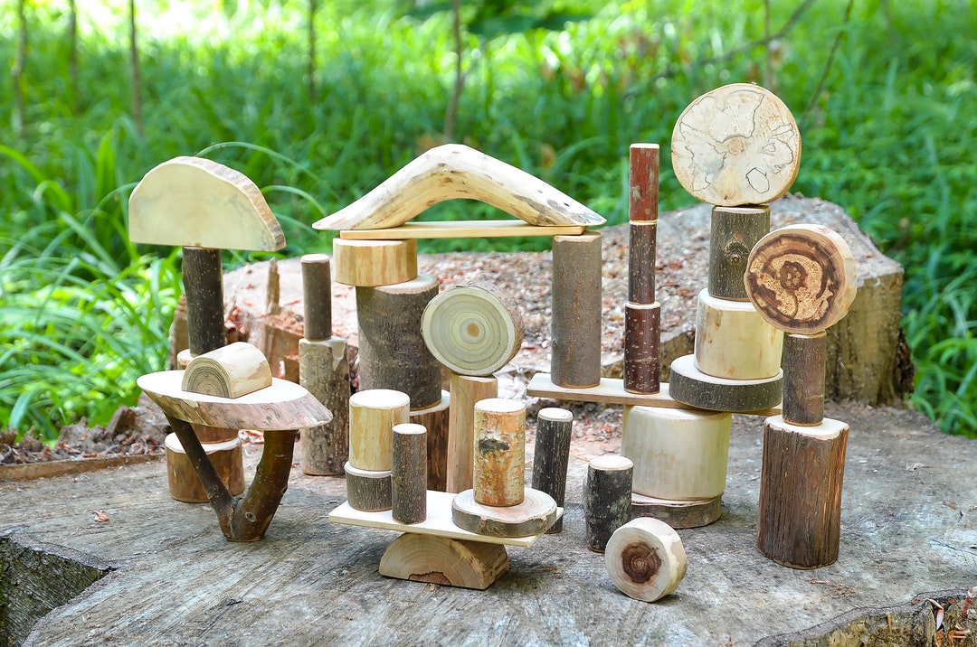 10 Types of Wood in One Tree Blocks Set, Natural Wood Building Blocks