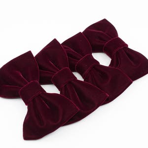 Bordeaux Velvet Bowtie: Burgundy Butterfly Bow Tie