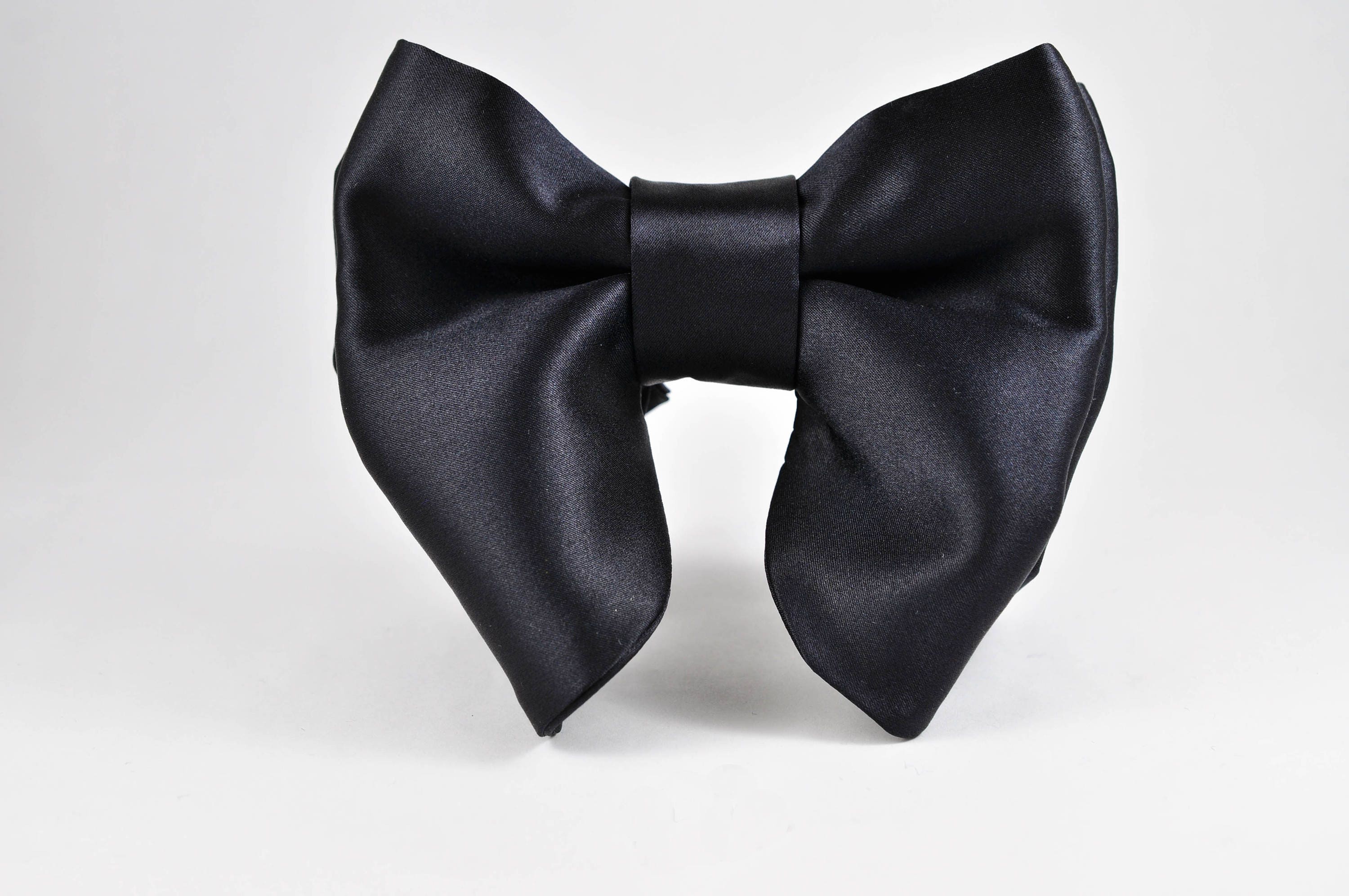 Big 2024 bow tie