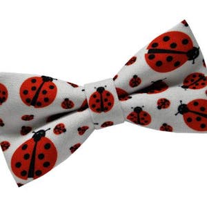 May include: A white bow tie featuring a pattern of red ladybirds. The ladybirds have black spots and are scattered across the bow tie.