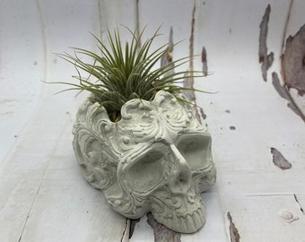 Intricate Skull Cement Planter | Tea Light & Air Plant Holder