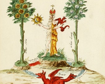 Manuscrits d'alchimie : illustrations des 16e et 18e siècles (téléchargement numérique)