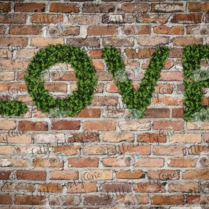 May include: The word "LOVE" spelled out in green foliage against a brick wall background.