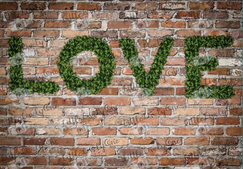 May include: The word "LOVE" spelled out in green foliage against a brick wall background.