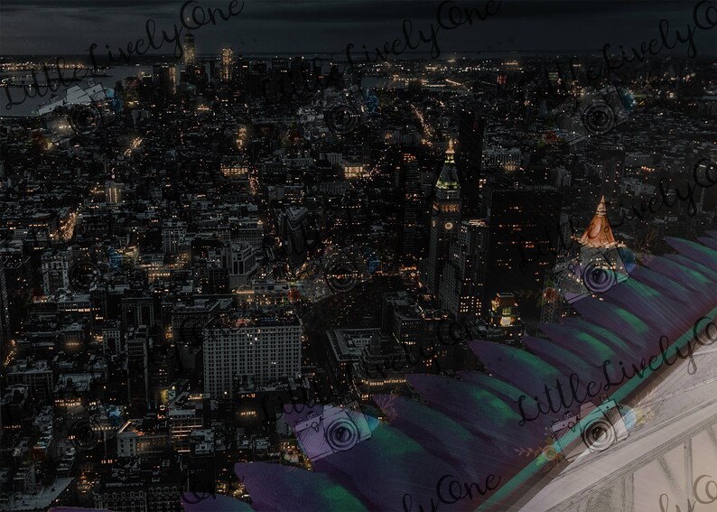 May include: An aerial view of a city at night, with many buildings lit up. The city is seen from a high vantage point, with a dark, textured surface in the foreground.