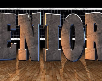 volleyball seniors, volleyball team photo, volleyball banner, sports background, team photo, volleyball, sports photo, volleyball background