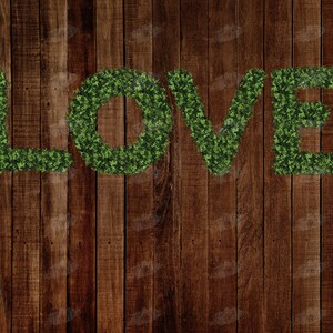 May include: The word "LOVE" spelled out in green foliage against a brown wooden background.
