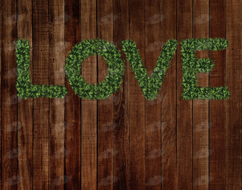 May include: The word "LOVE" spelled out in green foliage against a brown wooden background.