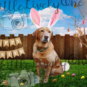Ostern, Ostern-Hintergrund, Ostern Hintergrund, grüne Gras, Ostereier, Ostern jagen, Osterhase, Osterei Baum, Hasenohren, Hase Schwanz