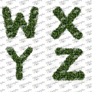 May include: The letters W, X, Y, and Z are formed from green foliage. The letters are isolated on a white background.