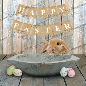 Easter background * baby background * wood floor  * baby backdrop * newborn background * digital backdrop * wood wall * photoshop * edit