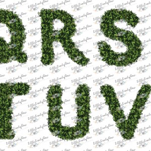 May include: Green leafy letters spelling out the letters QRS TUV. The letters are made of a green leafy material, like a bush or a hedge.