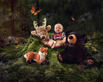 Baby background, toddler background, digital background, Woods backdrop, animal backdrop, mossy tree, stuffed animals, outdoor backdrop