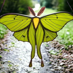 Luna Moth Stained Glass Suncatcher – Nature Lover Gift, Witchy Window Art, Cottagecore Nature Decor