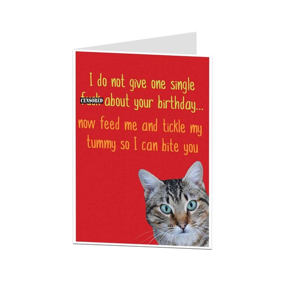Lustige Geburtstag Card Katze Card Grußkarte Von Cat Karte Für Katzenliebhaber Unhöflich Card Lustige Katze Katzendame Karte