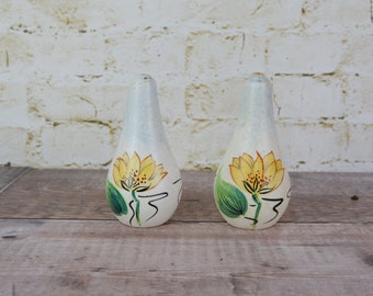 Vintage Ceramic Salt and Pepper Pots by E Radford