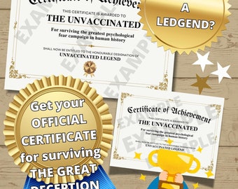 Certificado oficial de logro para Leyendas de la Guerra Fría de 2020