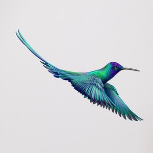 Hummingbird Wall Art - Bird Window Stickers - Wildlife Decor - Bird Stickers - Bird Decals - Wildlife Sticker - TheVinylCreations -