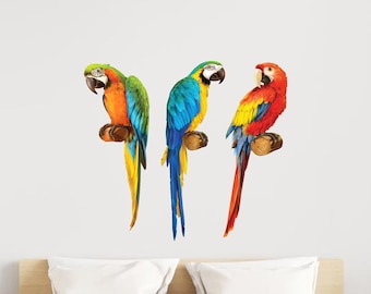 3 Parrots Tropical Wall Decal - Jungle Wall Stickers - TheVinylCreations
