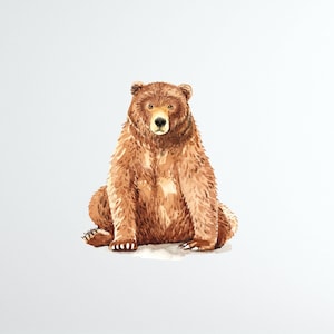 Bear Wall Sticker , Removable Wall Decal , Woodland Nursery Decor ,