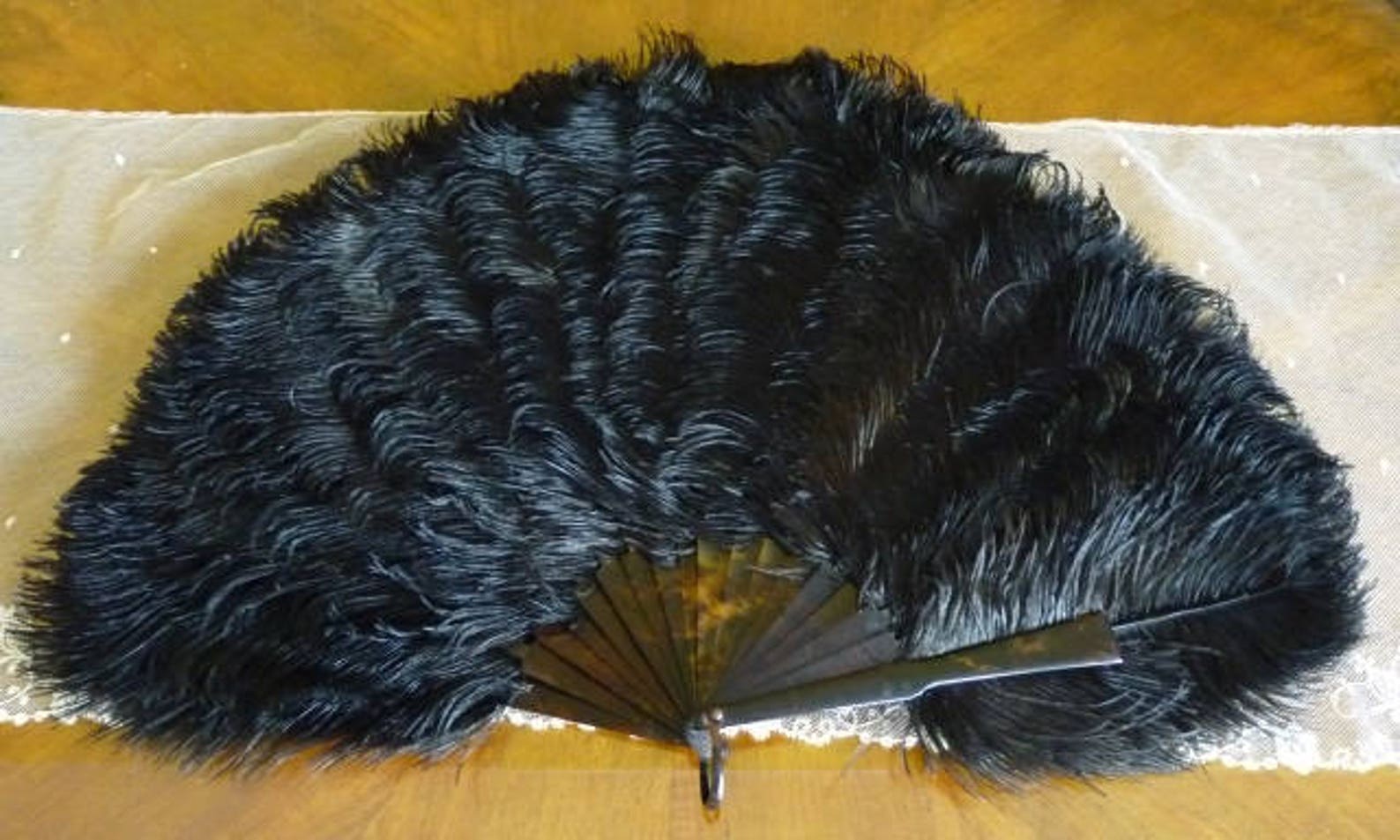 1895 Black Ostrich Feather Fan Antique Fan Victorian Fan Etsy UK