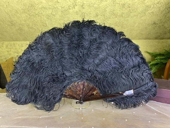 1900 Ostrich Feather fan, antique fan, Victorian feat… - Gem