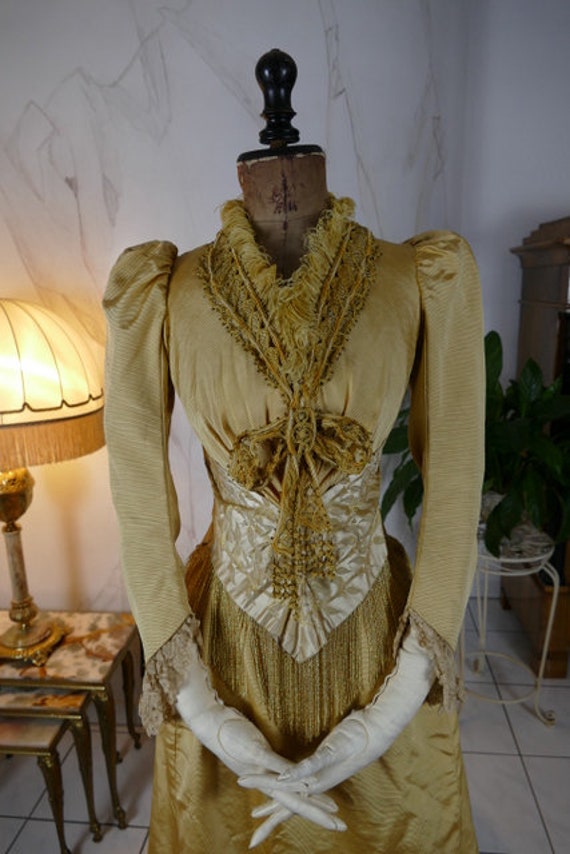 1895 ALLEBONEL Reception Gown, Chicago, antique Dr