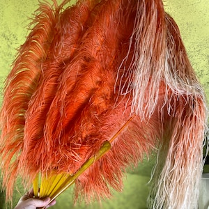 1920s Waterfall Fan, antique ostrich feather fan, antique fan, flapper fan, show fan, dance fan, antiker Fächer
