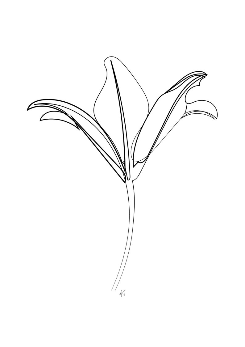 49+ Lily One Line Embroidery