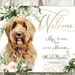see more listings in the Cat Wedding, Dog Wedding section