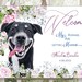 see more listings in the Cat Wedding, Dog Wedding section