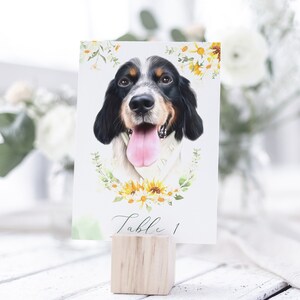 10 copie di numeri per tavoli da matrimonio con l'illustrazione del tuo animale domestico, matrimonio con margherite, decorazioni per tavoli da matrimonio, decorazioni per matrimoni con margherite