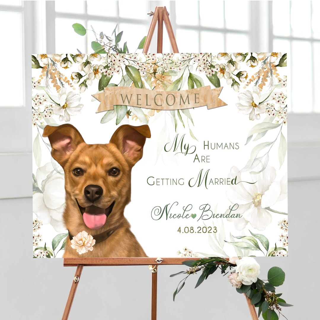 Dog Welcome Sign, Cat Welcome Sign - Etsy