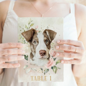 Dog Wedding Table Numbers, Cat Wedding, Unique Wedding Table Decor image 5