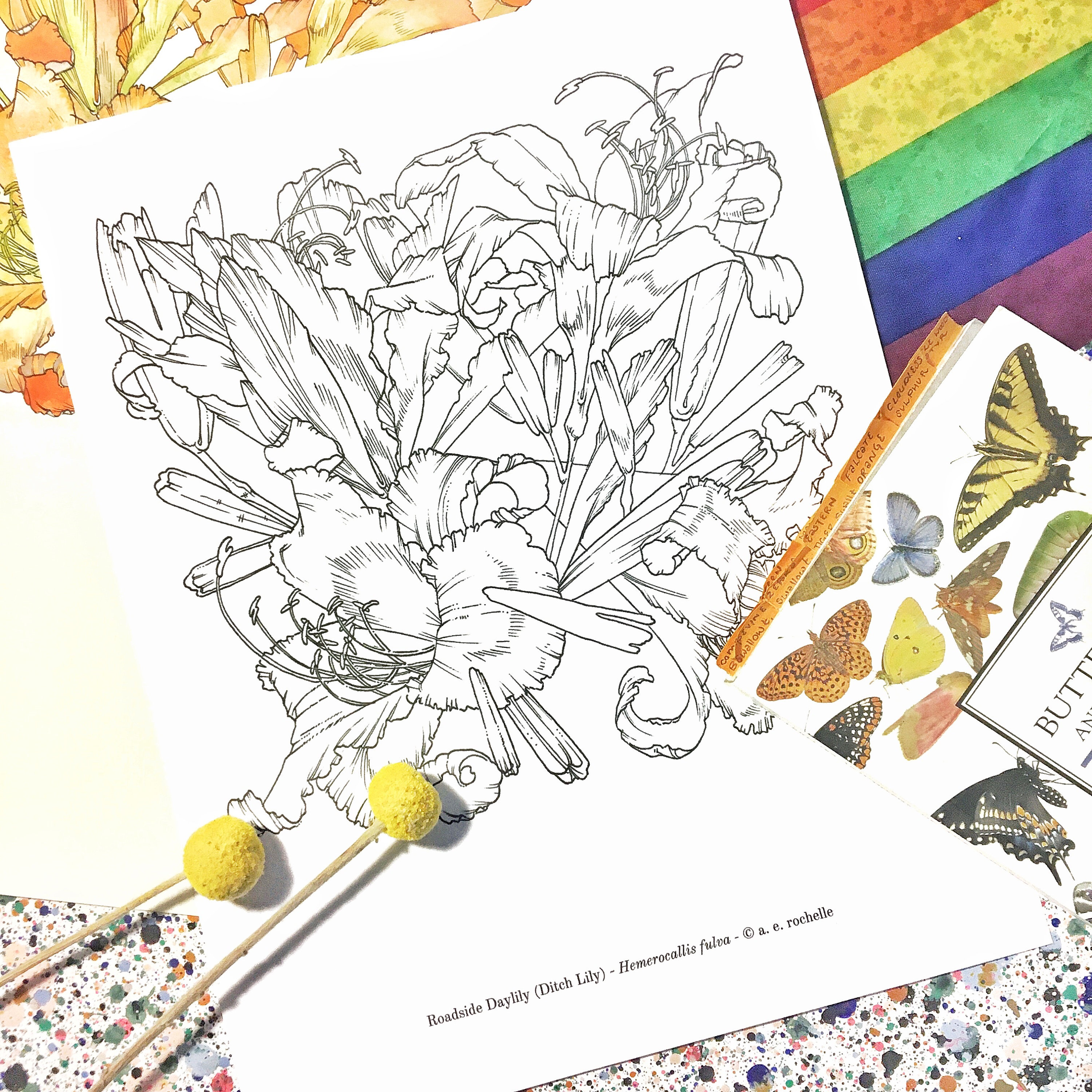 Daylily Coloring Page Botanical Coloring Page PDF Coloring - Etsy